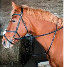 Martingal mit Ringen T de T 04