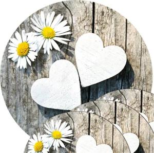 matches21 HOME & HOBBY Platzset Abwaschbare Tischsets 4er Set Gänseblümchen Blumen rund, (4-St), Platzsets als Tisch-Untersetzer und Tisch-Deko für Esstisch Teller