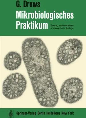 Mikrobiologisches Praktikum