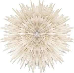 mitienda Papiersterne Stella-Dalia, Papier weiß golden dots 40 cm