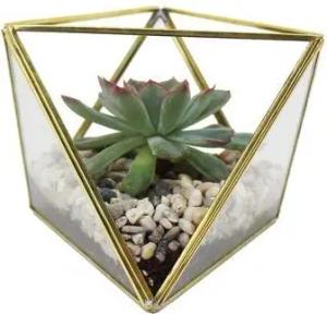 Mitienda Shop Geometrisches Terrarium aus Glas für Sukkulenten