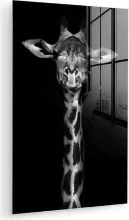 MuchoWow Acrylglasbild Giraffe - Porträt - Tiere - Schwarz - Weiß, Inkl. Aufhängung, Dekorative Bild für Küche & Wohnzimmer auf Glas, 20x30 cm