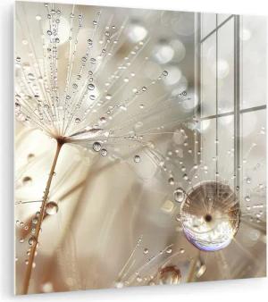 MuchoWow Acrylglasbild Natur - Blumen - Tropfen - Regen, Inkl. Aufhängung, Bilder auf Glas Wandbild, Wanddeko Wohnzimmer Badezimmer, 20x20 cm