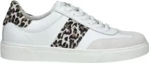 NeroGiardini  Sneaker Sneaker