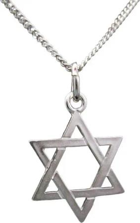 NICEANDnoble Kette mit Anhänger 925er Silber Anhänger Davidstern mit Panzerkette