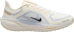Nike Herren Pegasus 41 GTX Schuhe