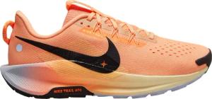 Nike Herren Pegasus Trail 5 Schuhe