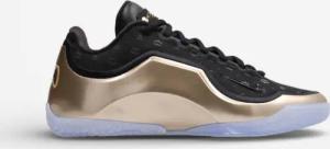 Nike LeBron 23 The Chosen One and The One Who Chose (Translucent Outsole)