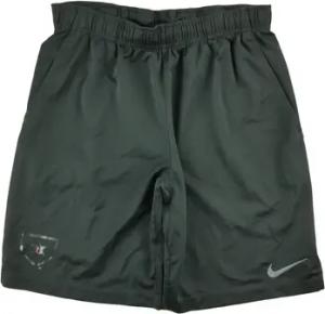 Nike  Shorts 292560