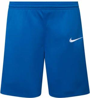 Nike Team Kinder Basketball Shorts NT0202-463