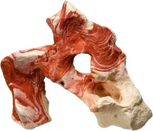 Nobby Aquariendeko Aquariendekoration Stein bunt