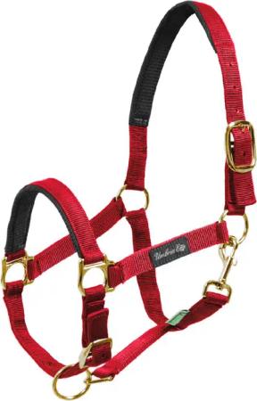 Nylonhalfter mit Neoprenverstärkung für Pferde Umbria Equitazione