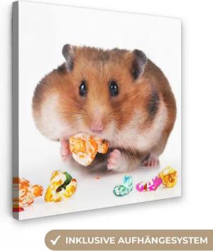 OneMillionCanvasses® Leinwandbild Hamster frisst buntes Futter, Fotodruck (1 St), Wandbild, Deko Schlafzimmer Wohnzimmer Flur 20x20 cm