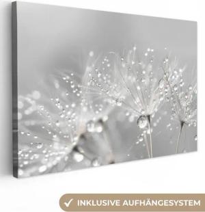 OneMillionCanvasses® Leinwandbild Löwenzahn - Wassertropfen - Stilleben - Modern, Fotodruck (1 St), Leinwand Bilder Klein, Wand Dekoration Aesthetic 30x20 cm