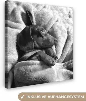OneMillionCanvasses® Leinwandbild Niedlicher Dackel liegt unter der Bettdecke, Fotodruck (1 St), Wandbild, Deko Schlafzimmer Wohnzimmer Flur 20x20 cm