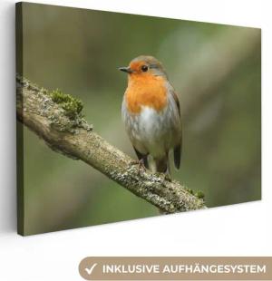 OneMillionCanvasses® Leinwandbild Vogel - Rotkehlchen - Zweig - Pflanzen, Fotodruck (1 St), Leinwand Bilder Klein, Wand Dekoration Aesthetic 30x20 cm