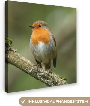 OneMillionCanvasses® Leinwandbild Vogel - Rotkehlchen - Zweig - Pflanzen, Fotodruck (1 St), Wandbild, Deko Schlafzimmer Wohnzimmer Flur 20x20 cm