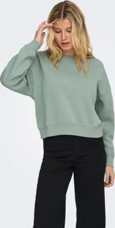 ONLY Sweatshirt "ONLBEST L/S CREW NECK SWT NOOS"