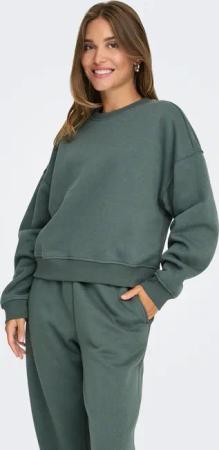 ONLY Sweatshirt "ONLBEST L/S CREW NECK SWT NOOS"