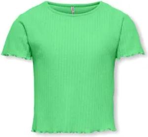 Only  T-Shirts & Poloshirts 15225338