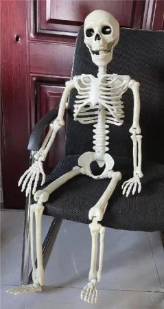 Orlob Dekofigur XXL Deko Skelett Mensch 100 cm Beweglicher Kopf, Beine, Hände, 1 m Deko Skelett