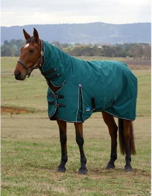 Outdoor-Decke für Pferde Weatherbeeta Comfitec Classic Combo 220g