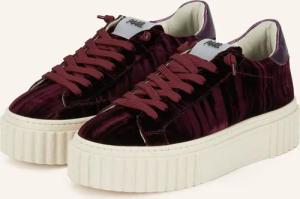 P448 Sneaker CREEPER 88