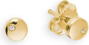 Palido Ohrstecker - Mein Tagebuch - Sehnsucht K12110G