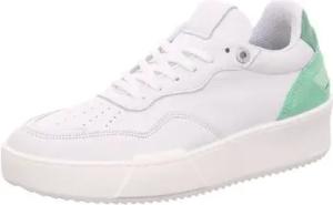 Palpa  Sneaker white-green (-grün) PSN0042F-3106
