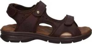 Panama Jack  Sandalen SALTON C35