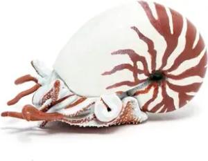 PAPO56061 MEERESWELT Nautilus