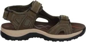 Paredes  Sandalen -
