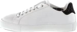 Philipp Plein Low-Top Sneaker - Low-Top Sneakers With Smooth Leather Upper - Gr. 37 (EU) - in Weiß - für Damen