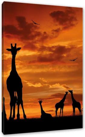 Pixxprint Leinwandbild Afrika Giraffen im Sonnenuntergang, Afrika Giraffen im Sonnenuntergang (1 St), Leinwandbild fertig bespannt, inkl. Zackenaufhänger