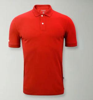 Polohemd für Herren ARIETE