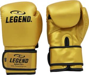 Powerfit & Protect Boxhandschuhe Herren/Damen Gold PU