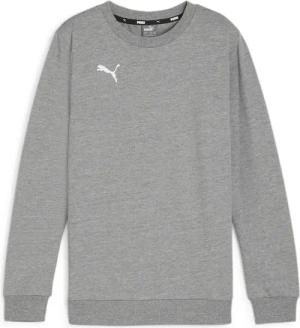 Pullover Kind Puma teamGOAL Casuals