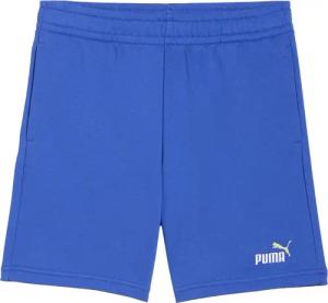 Puma - ESS 2 Color No.1 Logo Shorts Jungen royal sapphire