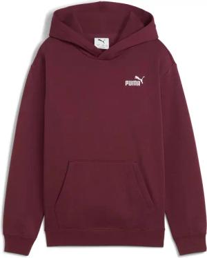 PUMA ESSENTIALS Small Logo Relax Hoodie Jungen