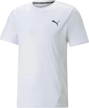 Puma Herren T-Shirt TRAIN ALL DAY Tee 522337