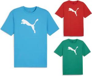 Puma Herren teamRISE Logo T-shirt 3er Pack - 658705