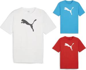 Puma Herren teamRISE Logo T-shirt 3er Pack - 658705