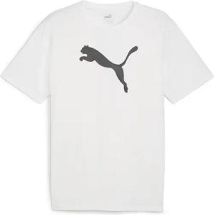 Puma Herren teamRISE Logo T-shirt - 658705
