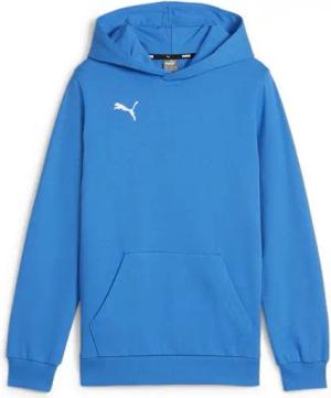 PUMA Hoodie teamGOAL Casuals Hoody Jr