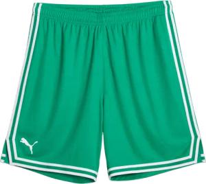 Puma Hoops Team Game Short Grün F006