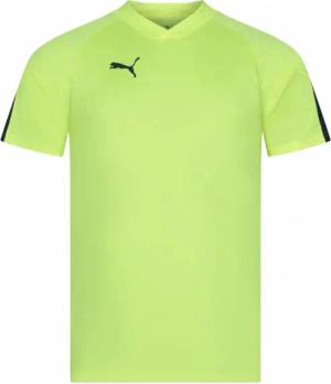 PUMA individualFINAL Herren Trikot 658037-47
