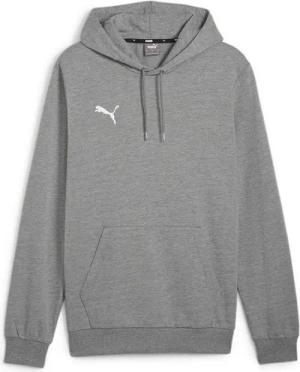 PUMA Kapuzenpullover Herren teamGOAL Casuals Hoody