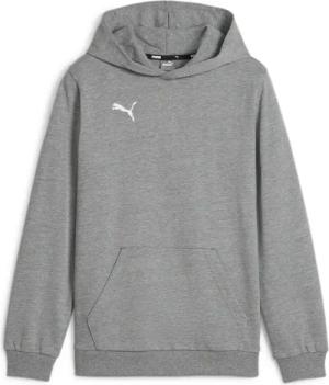 Puma Kinder Kapuzenpullover teamGOAL Casuals Hoody Jr 658619