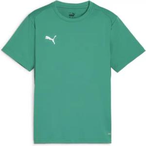 Puma Kinder T-Shirt teamGOAL Jersey Jr 658637