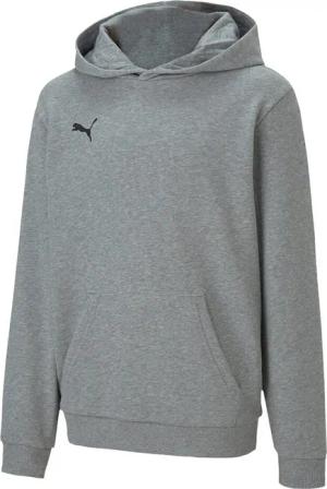 PUMA Kinder teamGOAL 23 Casuals Hoody Sweatshirt Pullover 656711 Grau